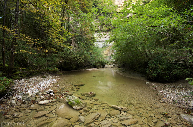 Photographie d'un ruisseau  dans la forêt du Haut Jura en aval de la cascade de la Queue de Cheval