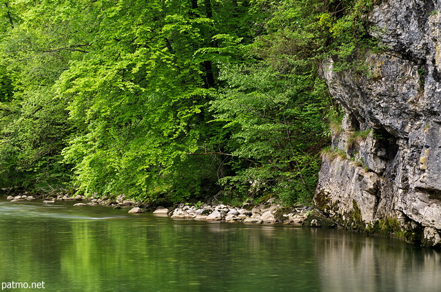 Image with forest and cliff along river Cheran in Massif des Bauges Natural Park