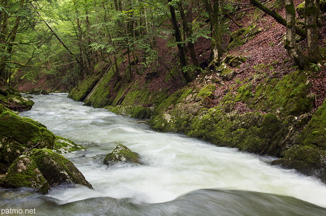 Photographie de la rivière de la Valserine gonflée par des pluies d'été