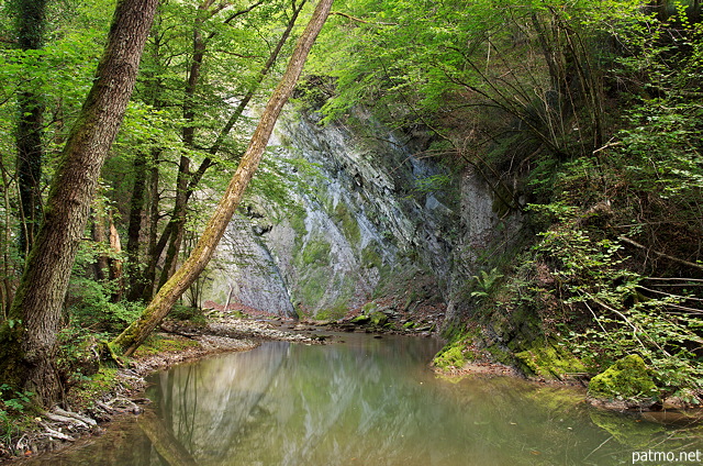 Image of the green banks of Fornant river