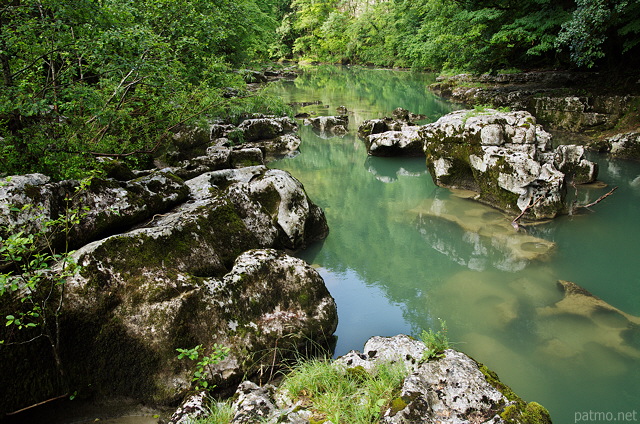 Photographie de rochers submergés ou émergeant dans les Pertes de la Valserine