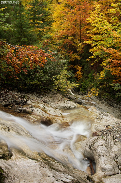 Photographie du ruisseau de la Dioma et des couleurs d'automne sur la forêt