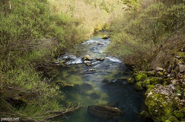Photo de la rivière de la Semine au printemps à Châtillon en Michaille