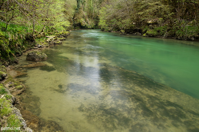 Photograph of springtime colors on the banks of Valserine river