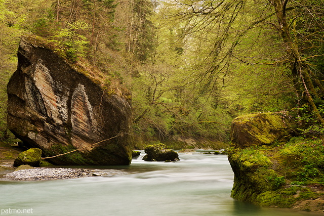 Image of boulders and springtime greenery along Cheran river