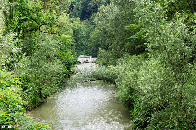 Photo de la ripisylve au bord de la rivière des Usses en été