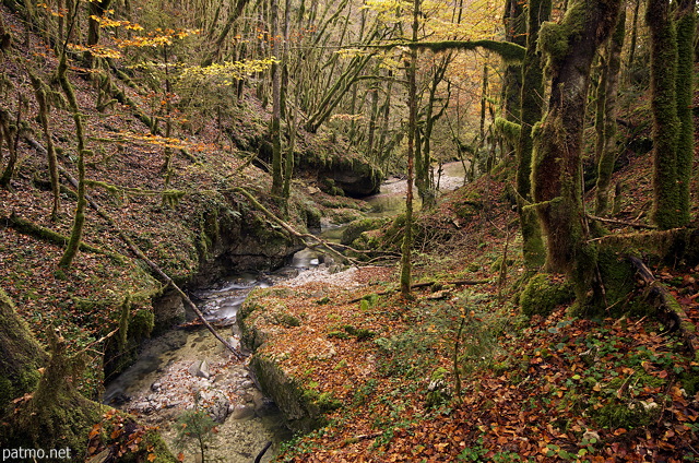 Photo de l'automne dans la forêt autour de la rivière de l'Abime près de Saint Claude dans le Jura