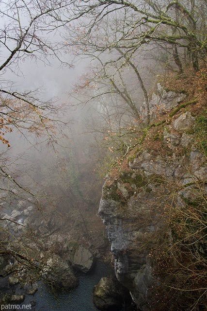 Photographie d'arbres et de rochers dans le brouillard autour du canyon de Barbannaz