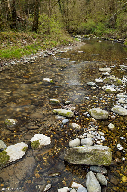 Photographie du faible niveau d'eau dans la rivière des Petites Usses un jour de printemps