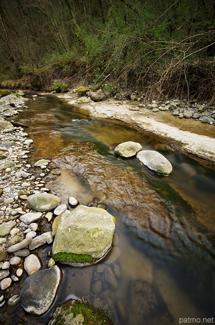 Image de la végétation printanière et du faible niveau d'eau dans la rivière des Petites Usses