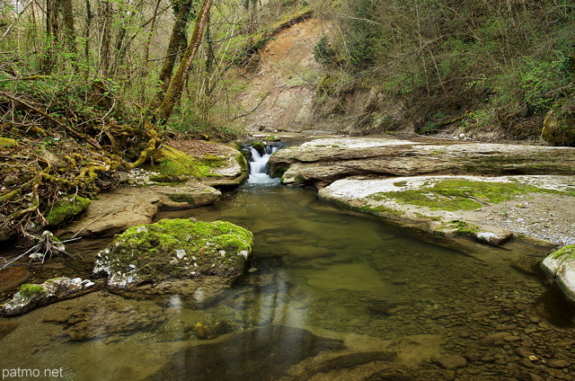 Image de la rivière des Petites Usses dans l'ambiance verte du printemps