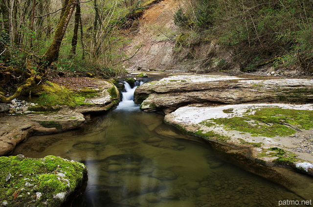 Photo de la rivière des Petites Usses au printemps