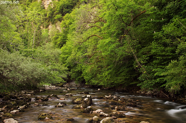 Picture of Tacon river in springtime , just after Rochefort bridge