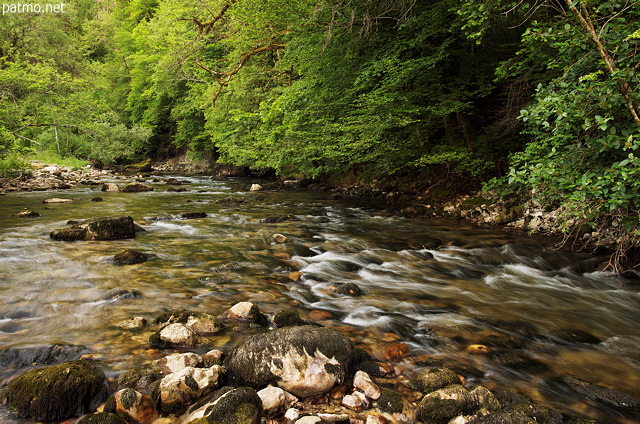 Photo du courant printanier dans la rivière du Tacon qui sort de la forêt près de Saint Claude dans le Jura