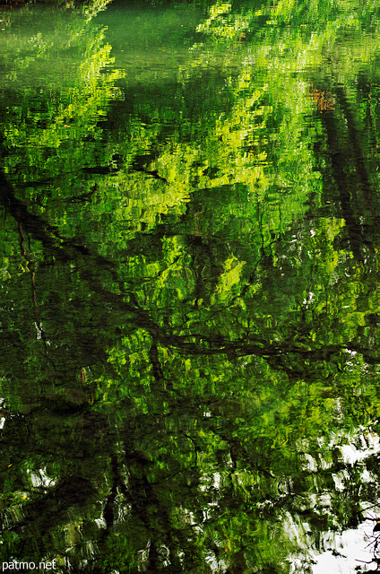 Photograph of trees reflected on the water of river Thiou in Annecy