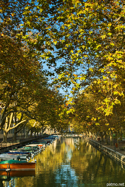 Photo du canal du Vassé au bord du lac d'Annecy, surmonté par des feuilles d'automne