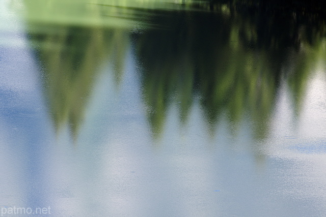 Photo of trees reflected on the water of Vallon lake
