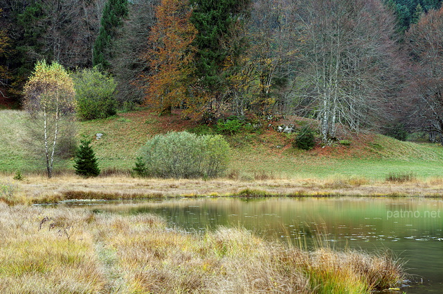 Photo de l'automne sur la végétation autour du lac Génin dans le Haut Bugey