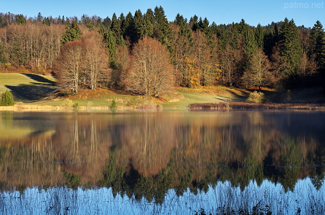Image de la forêt d'automne reflétée dans l'eau du lac Génin