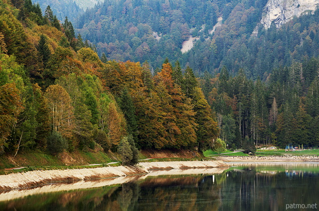 Photographie de la forêt colorée par l'automne au bord du lac de Montriond