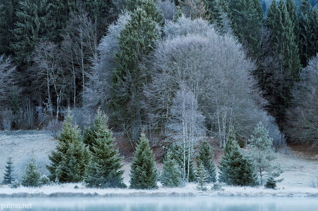 Photo du givre matinal sur la fort et les berges du lac Gnin dans le Haut Bugey