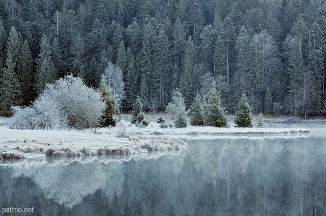 Image of the forest and banks of Genin lake whitened by morning frost