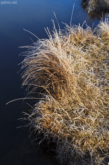 Photograph of frosted grass on the banks of Genin lake