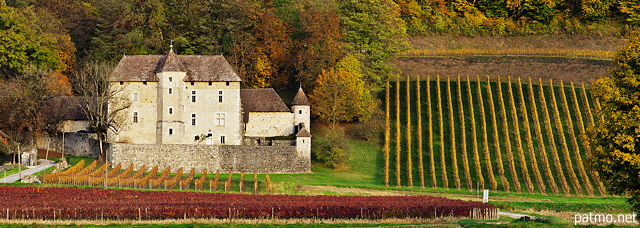Photograph of Mecoras castle and Chautagne vineyard in autumn