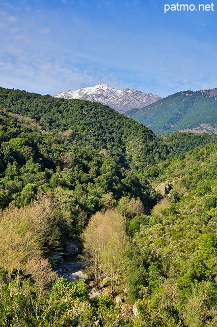 Photographie des montagnes de Haute Corse dans la vallée de l'Abatesco