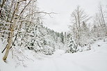 Photographie d'un paysage enneigé dans la vallée de la Valserine