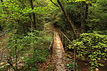Photo of an old footbridge over Fornant river