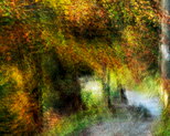 Photographie abstraite d'un chemin d'automne en forêt