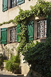 Image de vigne vierge sur la façade d'une maison du village de Cogolin