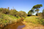 photo ruisseau dans la plaine des maures