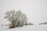 Photographie d'un paysage rural sous la neige et le brouillard près de Chaumont en Haute Savoie