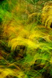 Photo abstraite d'herbes colorées dans un pré d'automne