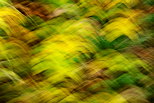 Image abstraite d'herbes dans un pré d'automne