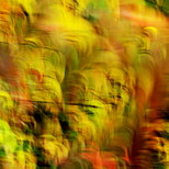 Image abstraite de feuilles d'automne colorées