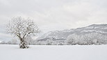Photo d'un paysage rural enneigé au pied de la montagne du Vuache