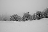Photo de neige dans les champs en Haute Savoie
