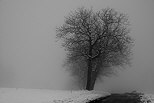 Image with a dark winter mood with snow and fog