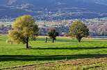 Image of a green countryside in autumn, France, Savoie department