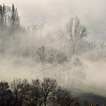 Photographie du brouillard d'un matin d'automne à la campagne