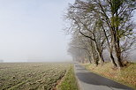 Photo du brouillard autour de la route des Daines à Chaumont en Haute Savoie
