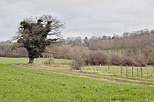 Photograph of the winter mood in the french countyside around Minzier