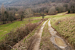 Photo d'un chemin à travers champs au pied de la montagne du Vuache