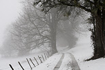 Photograph of a rural path with snow and mist near Savigny Haute Savoie