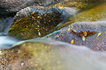 Photo de rochers moussus et de feuilles mortes dans la rivière de la Verne - Massif des Maures