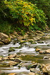 Photo des couleurs d'automne sur les bords de la rivière des Usses