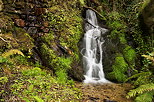 Image d'une petite cascade dans un ruisseau de printemps dans le Parc National des Cévennes